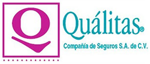 Resultado de imagen para logo de qualitas